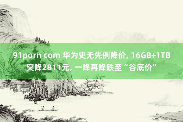 91porn com 华为史无先例降价， 16GB+1TB突降2811元， 一降再降跌至“谷底价”