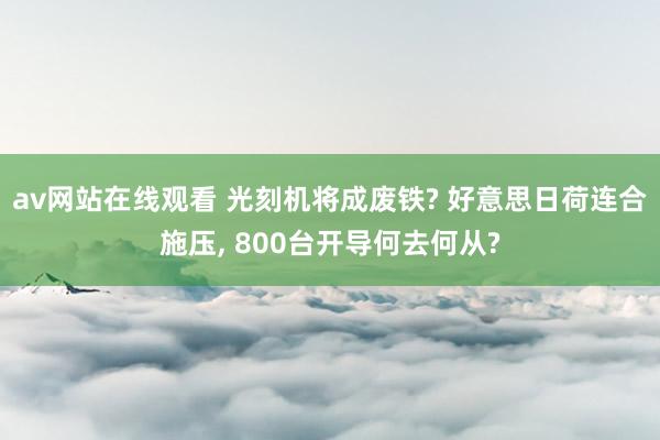 av网站在线观看 光刻机将成废铁? 好意思日荷连合施压， 800台开导何去何从?
