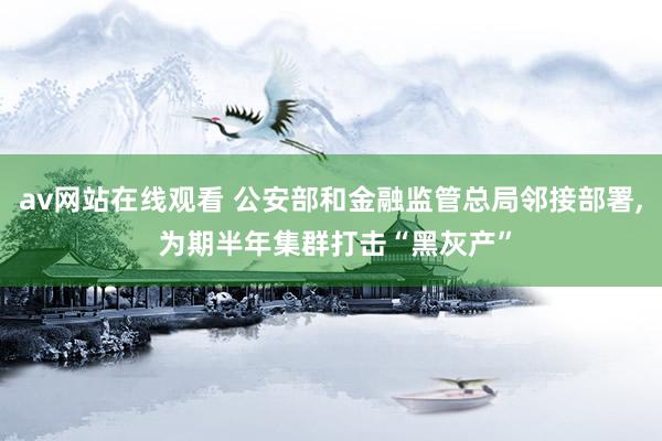 av网站在线观看 公安部和金融监管总局邻接部署， 为期半年集群打击“黑灰产”