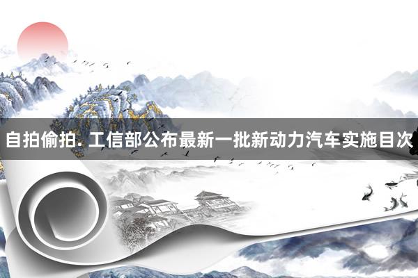 自拍偷拍. 工信部公布最新一批新动力汽车实施目次